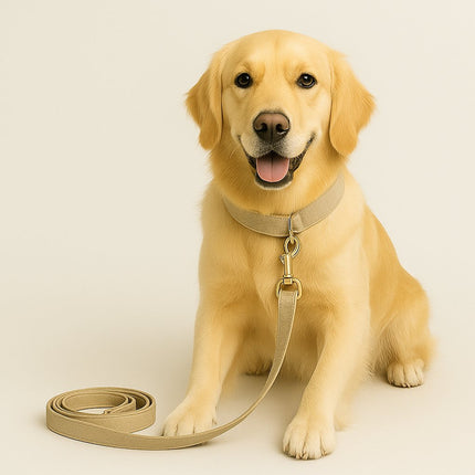 Accessoires - Duc & Dogue