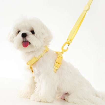 OneCute® - Duc & Dogue - Duc & Dogue