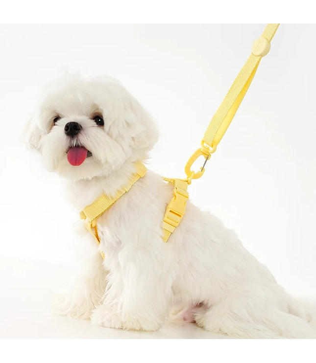 OneCute® - Duc & Dogue - Duc & Dogue