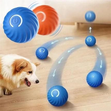 SmartBall® - Duc & Dogue - Duc & Dogue
